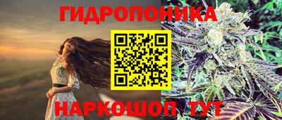 бутират Гай