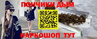спайс Гагарин