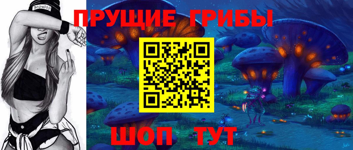 Галлюциногенные грибы GOLDEN TEACHER  Вход с VPN  Новосибирск  Псилоцибиновые грибы Psilocybe 