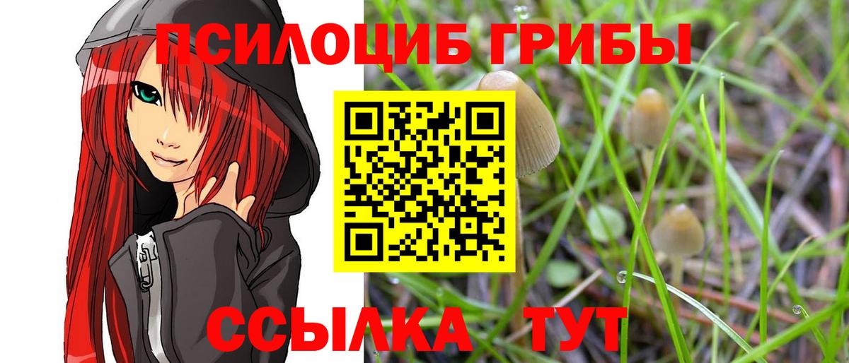 Псилоцибиновые грибы прущие грибы Новосибирск
